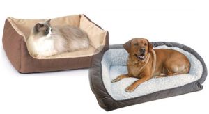 dog and cat sitting on Heated Pet Beds