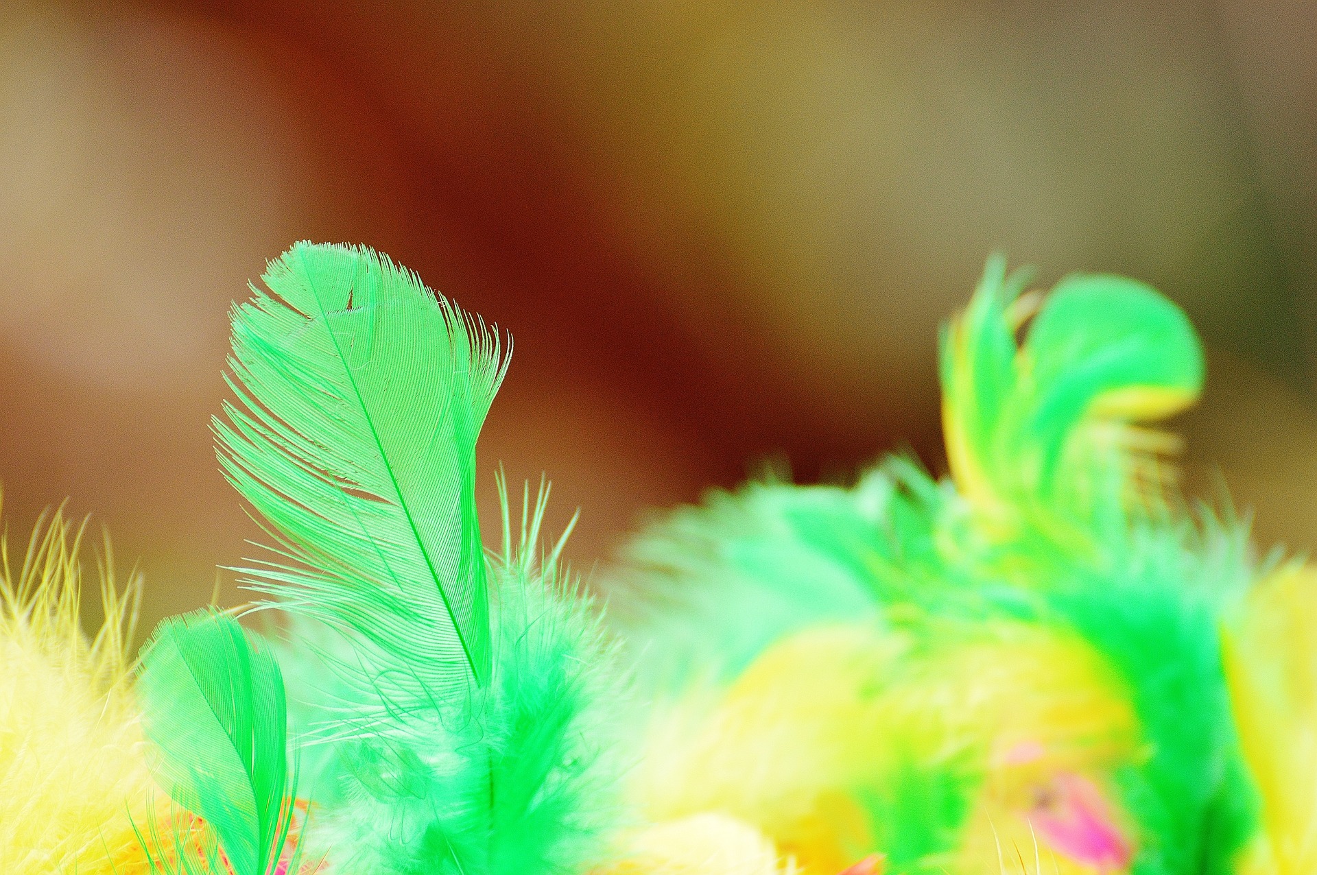 Cat Toy Colorful Feather Foam Balls