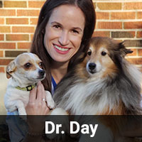 Dr. Day